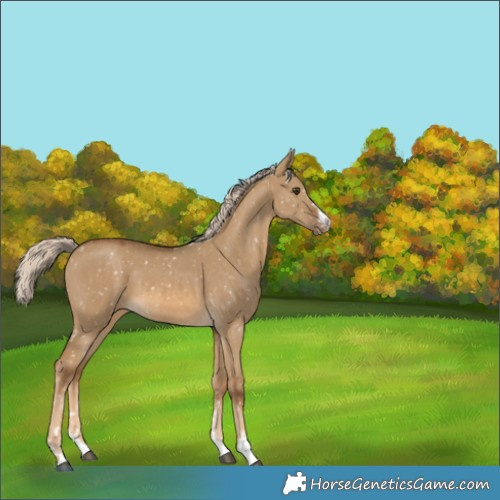 Horse Color:Chocolate Palomino Dun Snowflake Varnish  and Chocolate Palomino Dun Snowflake Varnish 