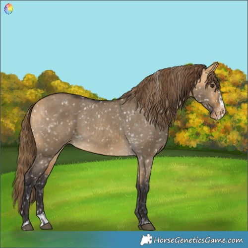 Horse Color:Buckskin Dun Snowflake Varnish  and Buckskin Dun Splash Snowflake Varnish 