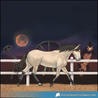 Horse Color:Buckskin 