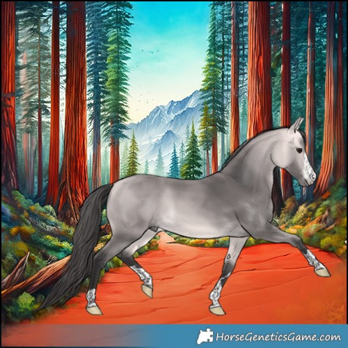 Horse Color:Platinum Buckskin 
