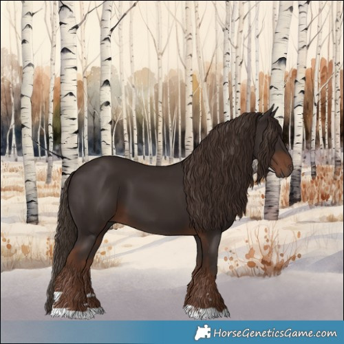 Horse Color:Liver Chestnut 