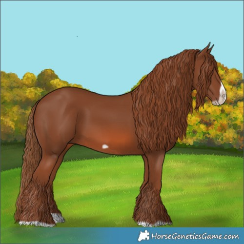 Horse Color:Chestnut Splash Frame