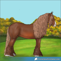 Horse Color:Chestnut Splash Frame 