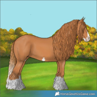 Horse Color:Chestnut Splash Frame 