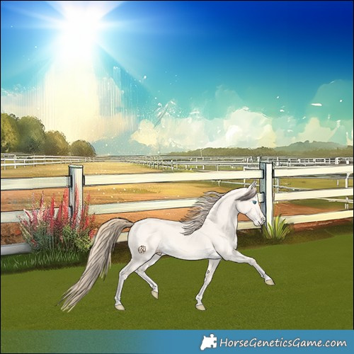 Horse Color:Perlino Dun 