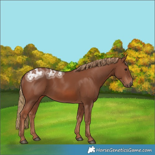 Horse Color:Chestnut Ice 