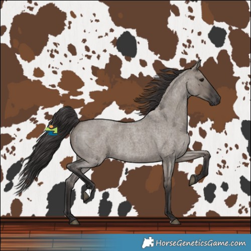 Horse Color:Smoky Grullo Roan 