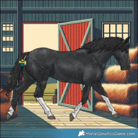Horse Color:Black Tobiano 