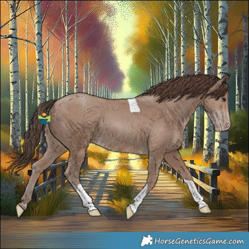 Horse Color:Classic Champagne Tobiano 