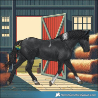 Horse Color:Black Tobiano 