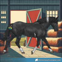 Horse Color:Black Tobiano