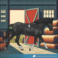 Horse Color:Black Tobiano 