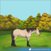 Horse Color:Bay Dun