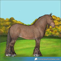 Horse Color:Bay Dun  and Liver Red Dun 
