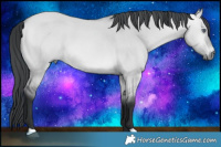 Horse Color:Bay Chinchilla Dun 