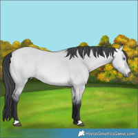 Horse Color:Bay Chinchilla Dun 