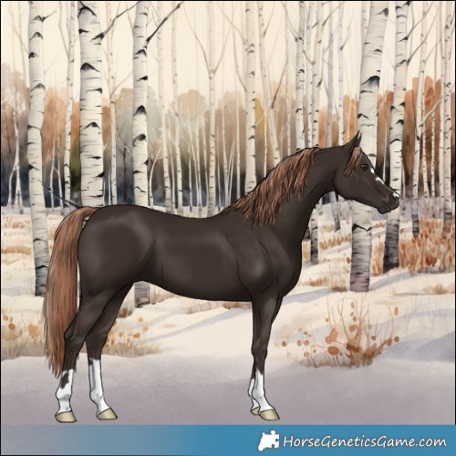 Horse Color:Liver Chestnut 
