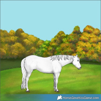 Horse Color:Red Onyx Chinchilla Mushroom 