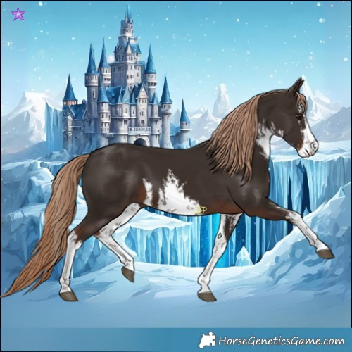 Horse Color:White Spotted Liver Chestnut 