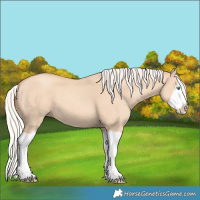 Horse Color:Silver Classic Champagne Dun Splash Frame