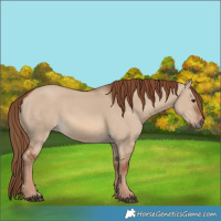 Horse Color:Red Dun 