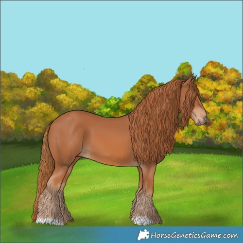Horse Color:Chestnut 
