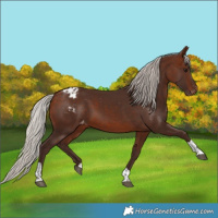Horse Color:Silver Brown Tobiano Varnish 