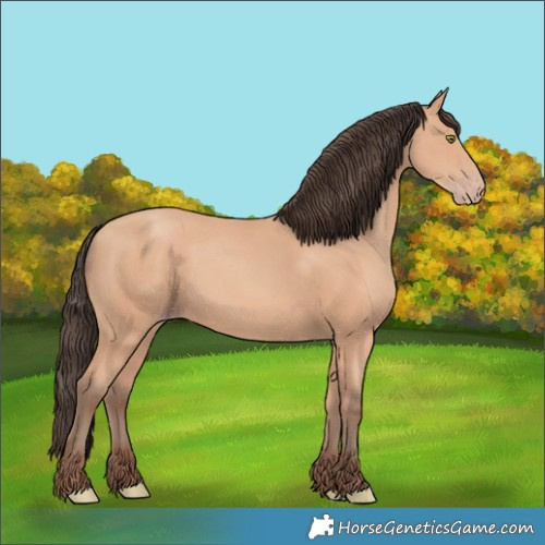 Horse Color:Amber Champagne 
