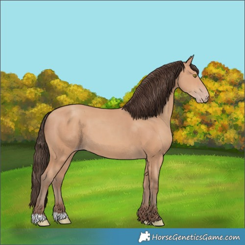 Horse Color:Amber Champagne 