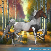 Horse Color:Bay Tobiano 