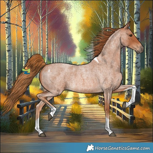 Horse Color:Red Roan Tobiano 