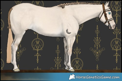 Horse Color:Perlino Dun 