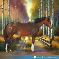 Horse Color:Bay Tobiano