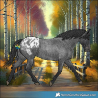 Horse Color:Blue Roan Blanket 