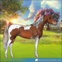 Horse Color:Chestnut Tobiano 