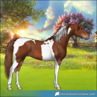 Horse Color:Chestnut Tobiano