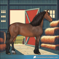 Horse Color:Bay 
