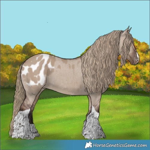 Horse Color:Liver Red Dun Tobiano Appaloosa 