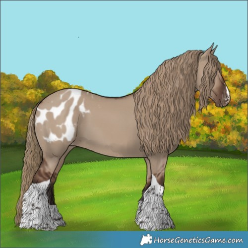 Horse Color:Liver Red Dun Tobiano Appaloosa 