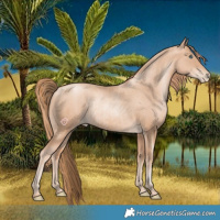 Horse Color:Gold Champagne Pearl Rabicano and Gold Champagne Pearl Rabicano