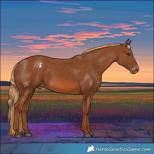 Horse Color:Chestnut Varnish