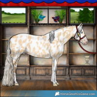 Horse Color:Gray Silver Amber Cream Champagne Roan Dun Splash Tobiano Frame Appaloosa Rabicano 