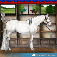 Horse Color:Gray Silver Amber Cream Champagne Roan Dun Splash Tobiano Frame Near Leopard Rabicano 
