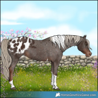 Horse Color:Liver Chestnut Tobiano Blanket 