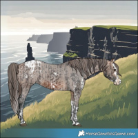 Horse Color:Bay Sabino Splash Varnish  and Bay Dun Sabino Splash Varnish 