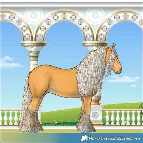 Horse Color:Palomino 