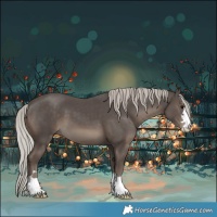 Horse Color:Silver Black 