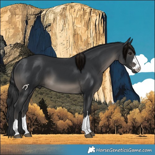 Horse Color:Black 