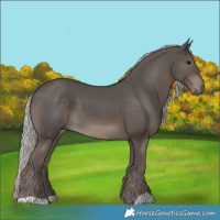Horse Color:Silver Black 
