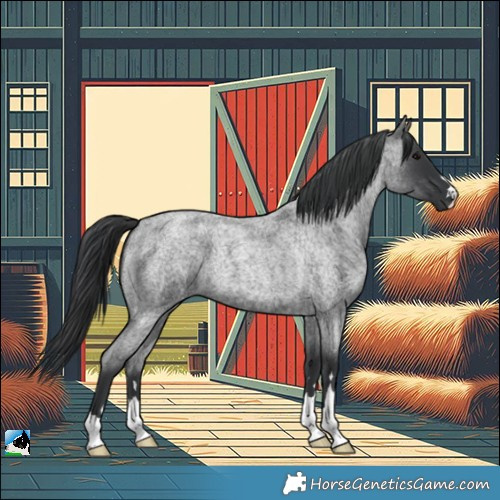 Horse Color:Blue Roan 